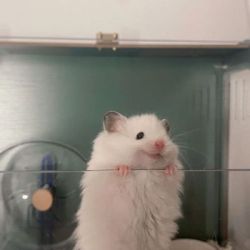 عکس یه یادگاری کوچیک برای مای هارد🎵💜