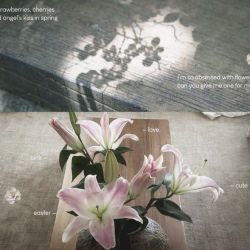 عکس ‌‌‌‌‌‌‌‌‌‌‌‌