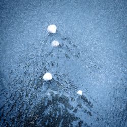 عکس 𝆤࿙๋࿙࿚🐚࿙࿚๋࿚𝆤