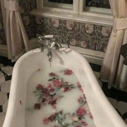 عکس 𝚕𝚒𝚕 𝚋𝚞𝚝𝚝𝚎𝚛𝚏𝚕𝚢