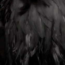 عکس 𝖩𝗎𝗌𝗍 𝗋𝖺𝗏𝖾𝗇