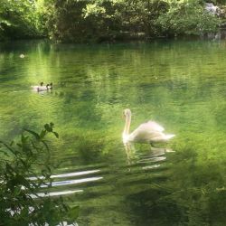 عکس 𝓜𝔂 𝓵𝓲𝓽𝓽𝓵𝓮 𝓱𝓸𝓶𝓮