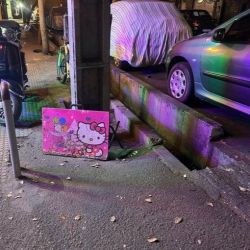 عکس زندگی شهشهانی ململانی‌.