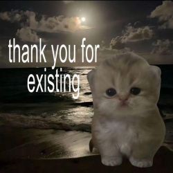 عکس Beyond the Incident