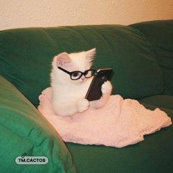 عکس فقط من اینجوریم یا شما هم اینجوری اید