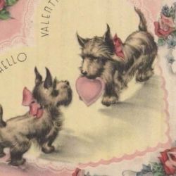 عکس .number one girl