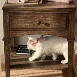 عکس ~~~~~~☆☆☆☆☆☆~~~~~~