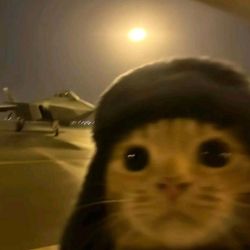 عکس 𝘔𝘰𝘰𝘯𝘳𝘪𝘴𝘦