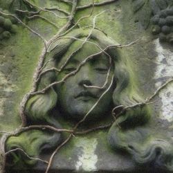 عکس 𝕱orgotten love