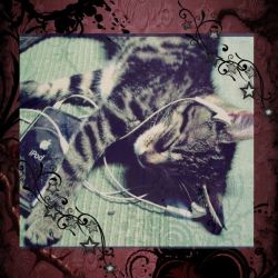 عکس 私は負け犬だ***