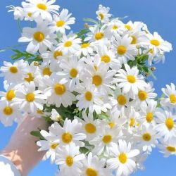 عکس ꪮꪊ𝕣 𝕣ꫀꪖꪶ ꫝꪮꪑꫀ