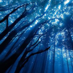 عکس ɧ℘ɖ Ɩųƙɛ