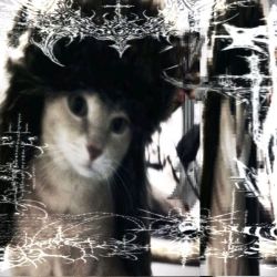 عکس 🐺★٭(?) 🌀