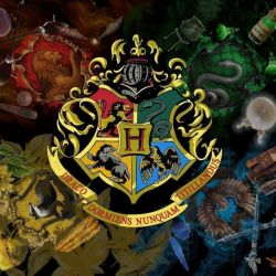 عکس کدوم گروه هاگوارتز ؟