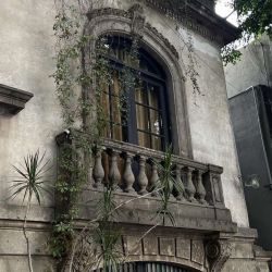 عکس The last words