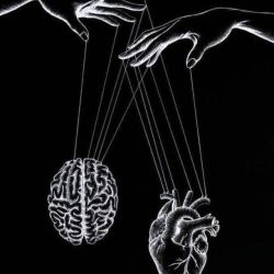 عکس منطق یا احساس؟؟