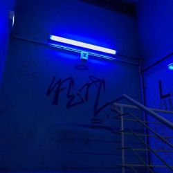 عکس یادگاری برای هانورا؟!