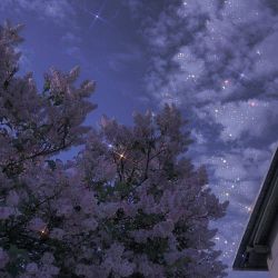 عکس بفرمایید داخل دم در بده🤗🎀