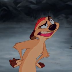 عکس 𝘕𝘦𝘷𝘦𝘳𝘭𝘢𝘯𝘥