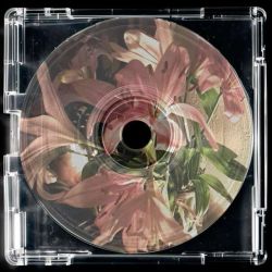 عکس Fꭤ𖫲𖫲‌ּll 𝗂ꨲ𖫱n l𑄝v𝗲 ‌        ‌ ‌‌ ‌  ‌ ‌‌۫ ‌݁  ‌݁  ‌    ݁