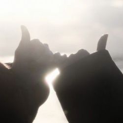 عکس پرتقالِ من ؛