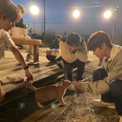 عکس ᴀꜱᴀʟ'ꜱ ʜᴏᴍᴇ