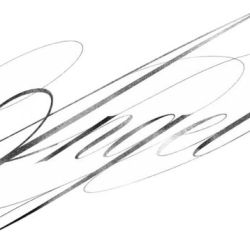 عکس ❕️             ‌