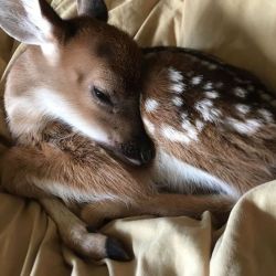 عکس 𝘔𝘺 𝘢𝘯𝘥 𝘔𝘺