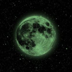 عکس کدوم رو انتخاب میکنی؟