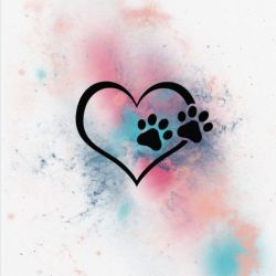 عکس بهترین همدم خانگی