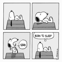 عکس کی میخوابی؟