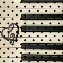 عکس 𝖨'𝗆 𝖺 𝗌𝗍𝗋𝖺𝗒 𝗇𝗂𝗇𝗂