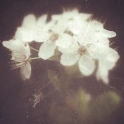عکس زندگی؟