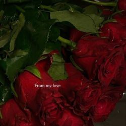 عکس 🌹رُز🌹