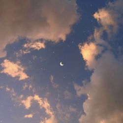 عکس کدوم فست فود؟