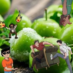 عکس گوجه سبز یا آلوچه؟