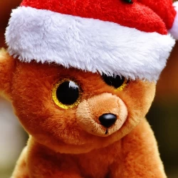 عکس این یا اون؟