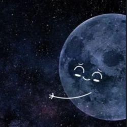 عکس کدوم دسته رو بیشتر دوست داری؟