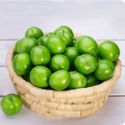 عکس کدومش