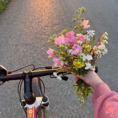 عکس پناهگاه