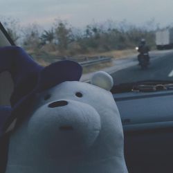 عکس 𝒕𝒆𝒅𝒅𝒚🧸𝒃𝒆𝒂𝒓