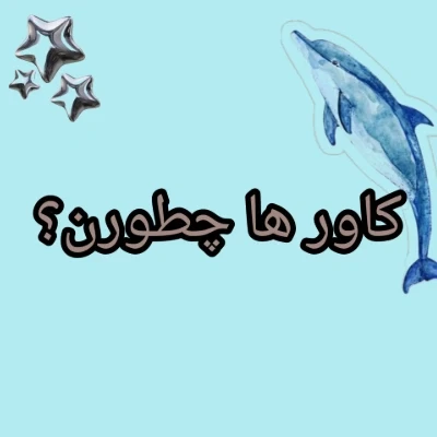 عکس کاور ها چطورن؟