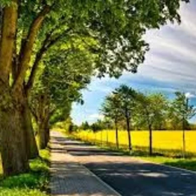 عکس برای تابستون می خواهی چه کاری انجام بدی؟