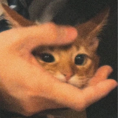 عکس ‌ ‌Meow