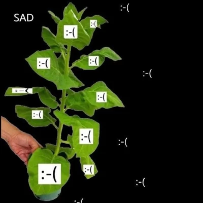 عکس شکوائیه