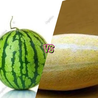 عکس هندونه یا خربزه؟