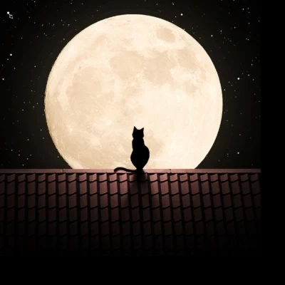 عکس شبی که ماه کامل شد 🌕