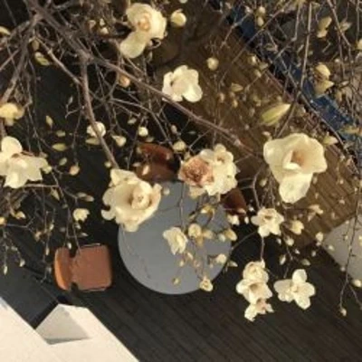 عکس ‌‌‌‌‌‌‌‌‌ ‌ ‌ ‌ ‌ ‌ ‌ خلوتی برای خود ؛