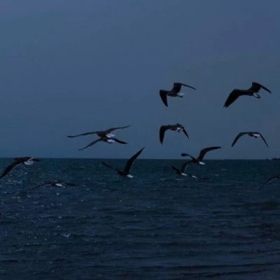عکس به خونه من خوش اومدین !