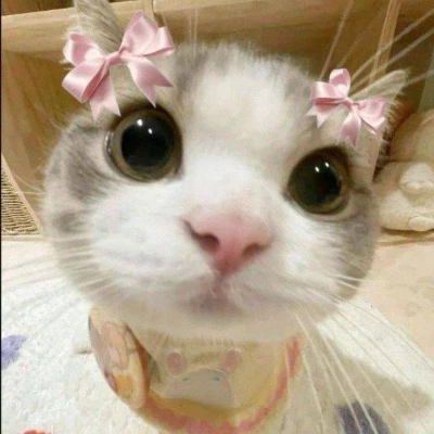 عکس کدوم کتاب قشنگ تره؟!🪄